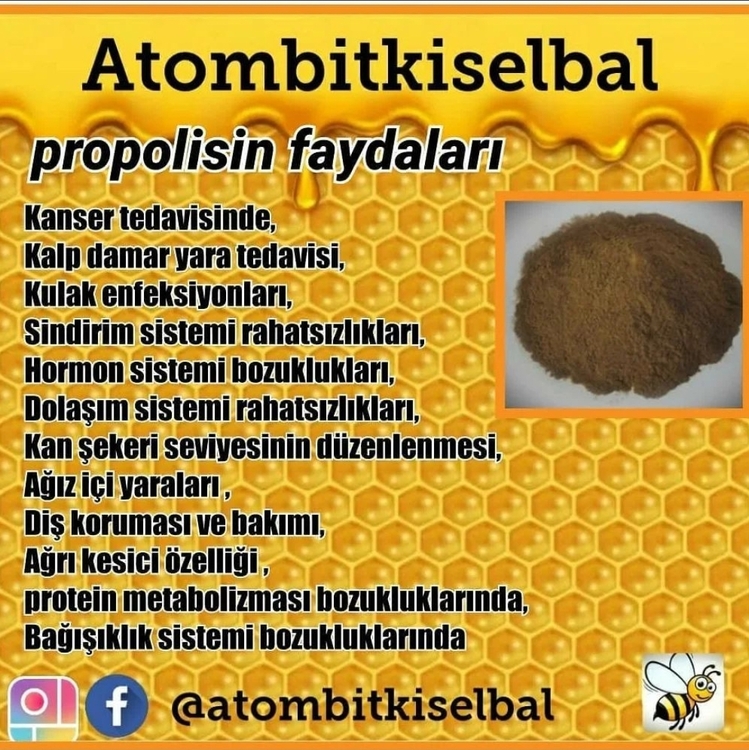 Polen ve propolisli Apiterapi Atombitkiselbal 2 adet alımda 75 tl kar edin