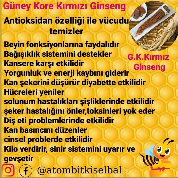 G. Kore K. Ginseng /Azgın teke/ Çakışır/ Safran/ Meyan/Karanfil/ funda 42 çeşit bitki