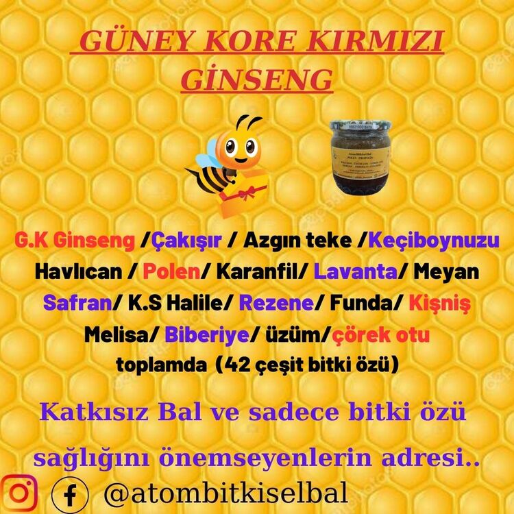 3 'lü mega paket ( 2 adet 425 gr atom bal ve 1 adet 425 gr hakiki bal)