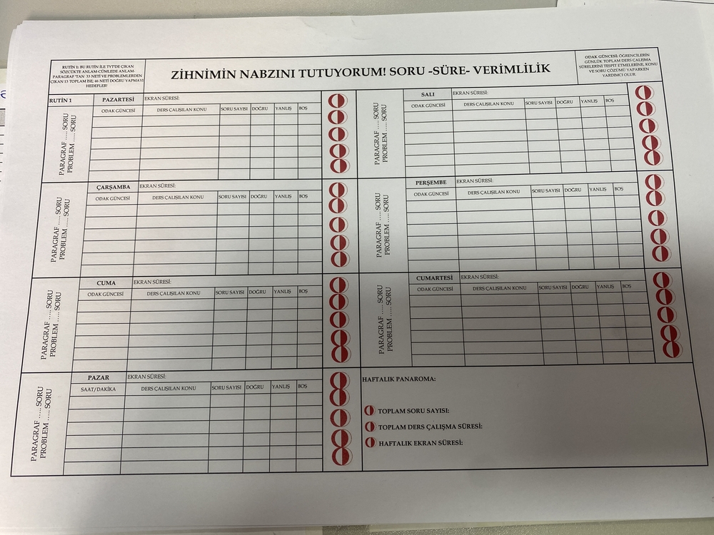 Zihnimin Nabzını Tutuyorum – Gün Sonu Raporu ve Takip Çizelgesi 