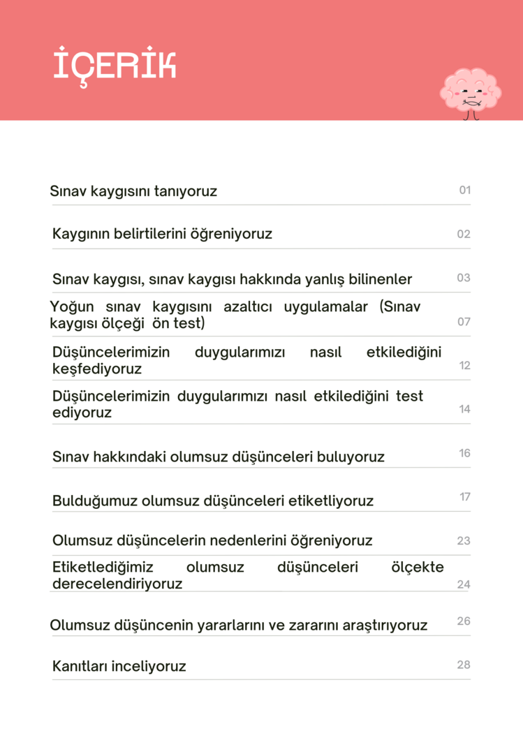 SINAV KAYGISI İLE BAŞ ETME KİTAPÇIĞI (GELİŞTİRİLMİŞ VERSİYON) 