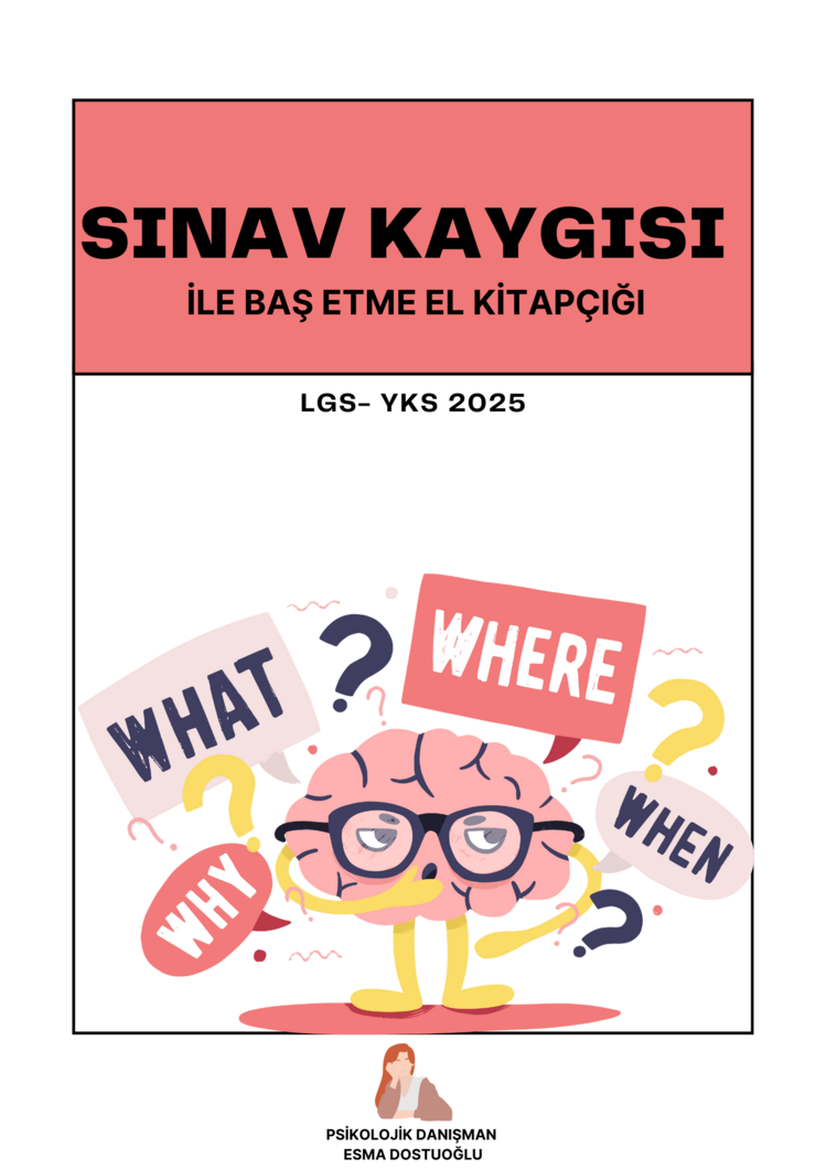 SINAV KAYGISI İLE BAŞ ETME KİTAPÇIĞI (GELİŞTİRİLMİŞ VERSİYON) 