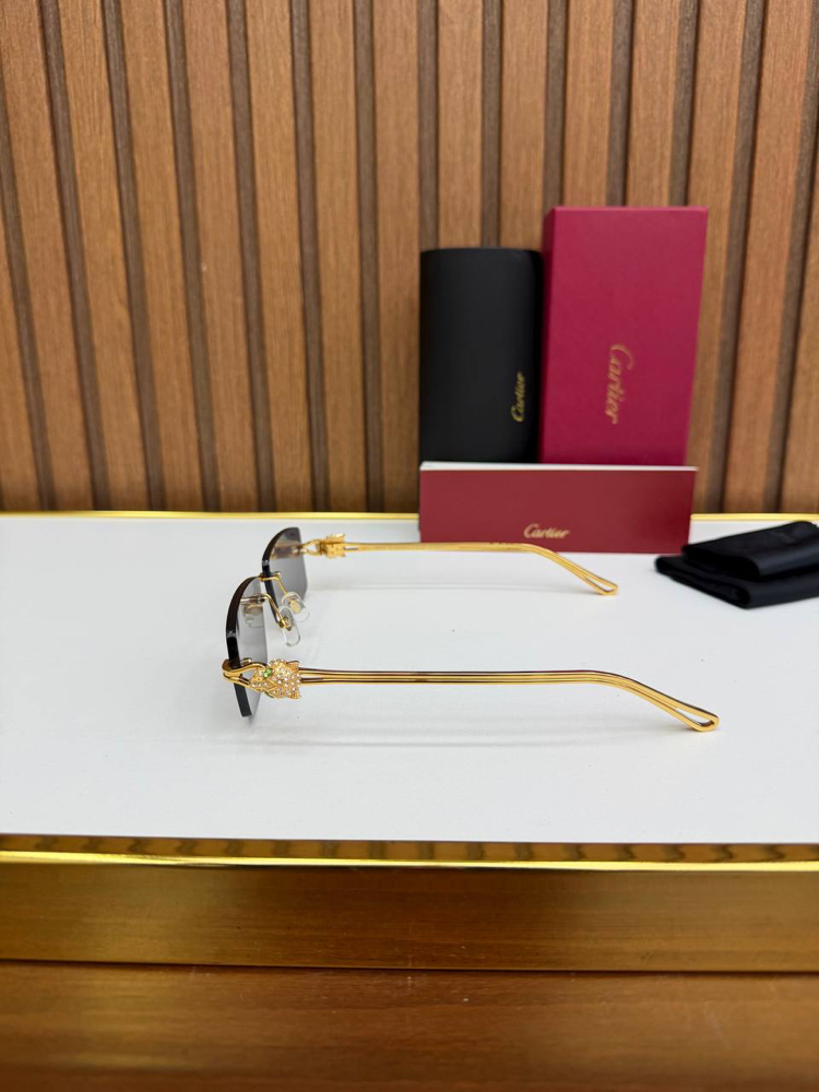 Carti Premium Sunglasses (İthal)