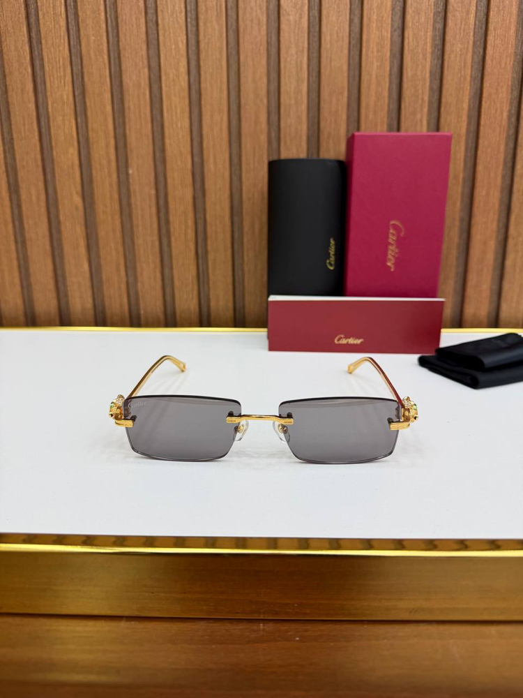 Carti Premium Sunglasses (İthal)