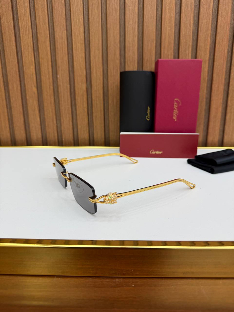 Carti Premium Sunglasses (İthal)