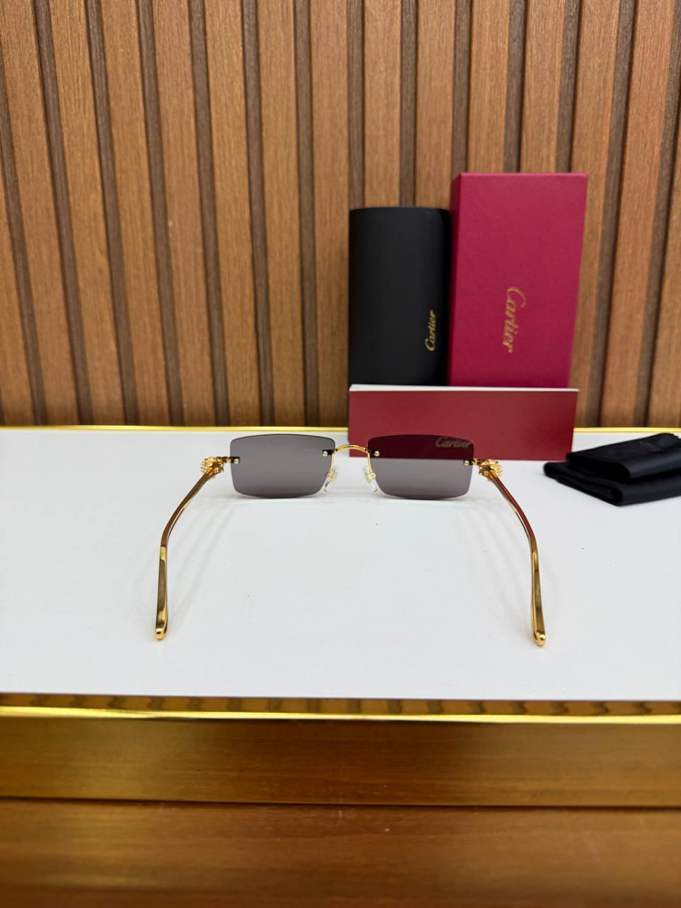Carti Premium Sunglasses (İthal)