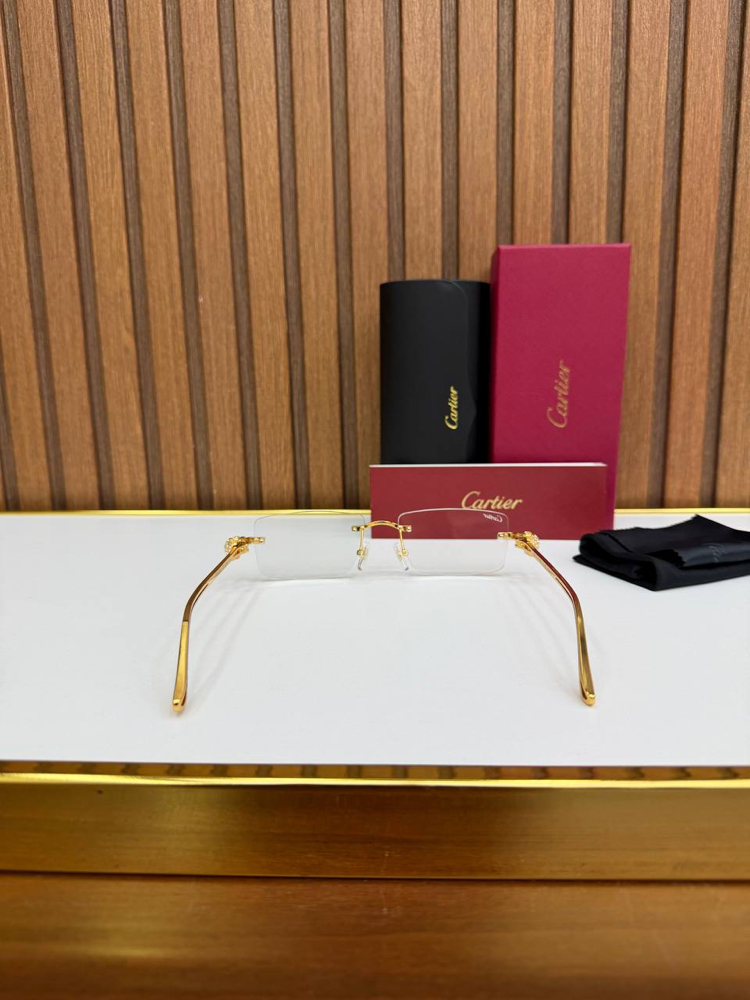 Carti Premium Sunglasses (İthal)