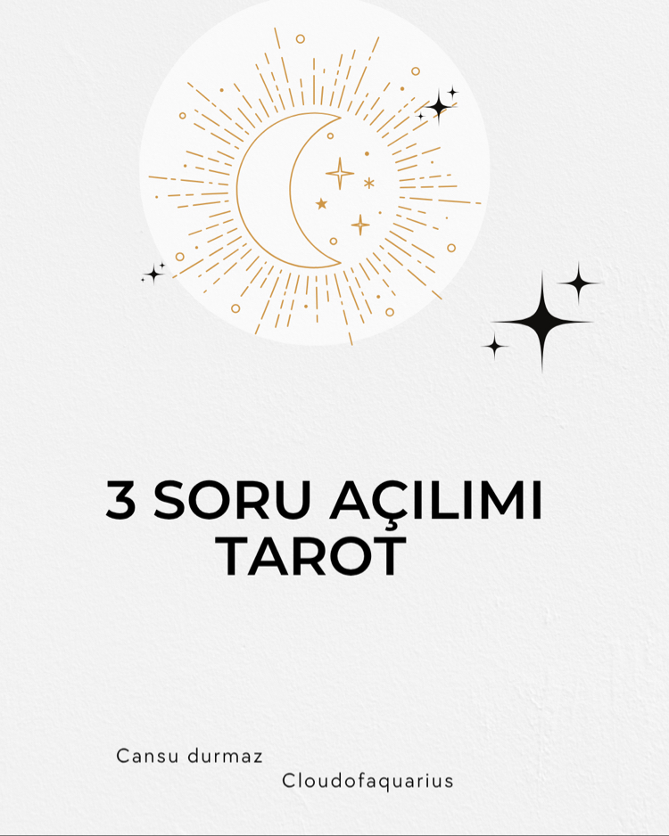 3 soru