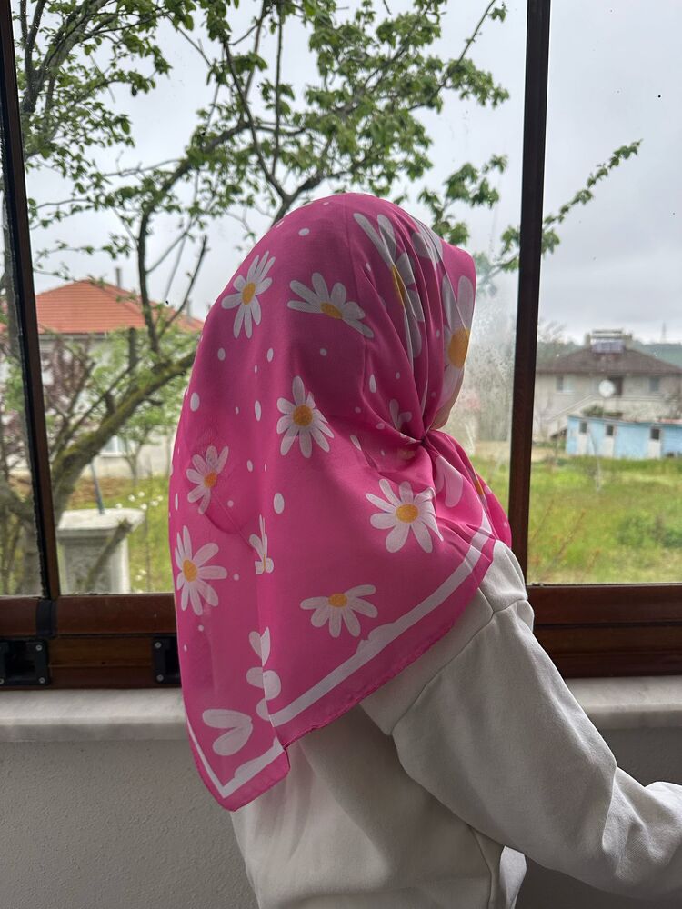 Pembe büyük Papatya