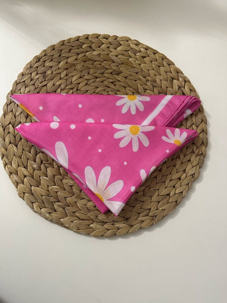 Pembe büyük Papatya