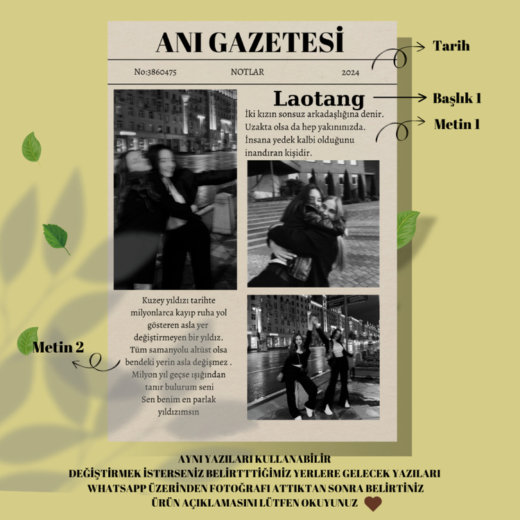 ANI POSTERİ