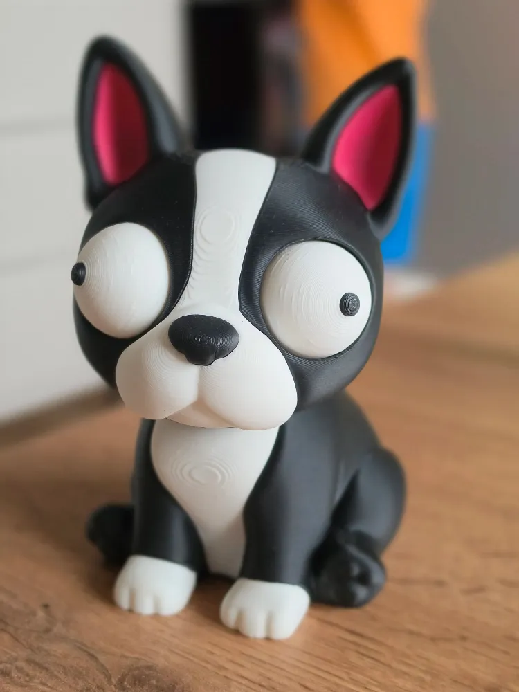 CoffeeCraft Goofy Boston Terrier - Gözleri Hareketli Şirin Model