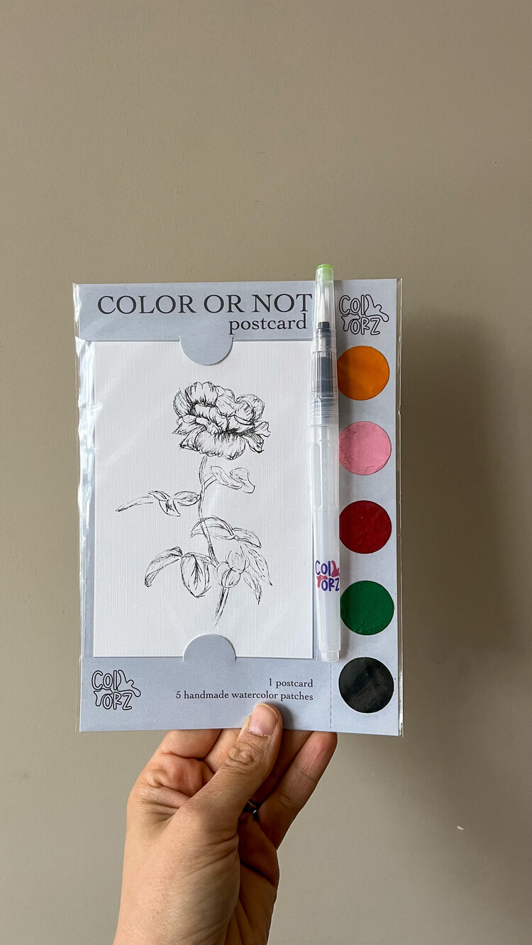 Color or Not Postcard -Gül-