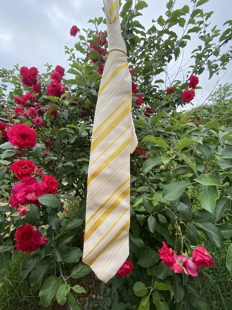 Etro Milano Silk Necktie