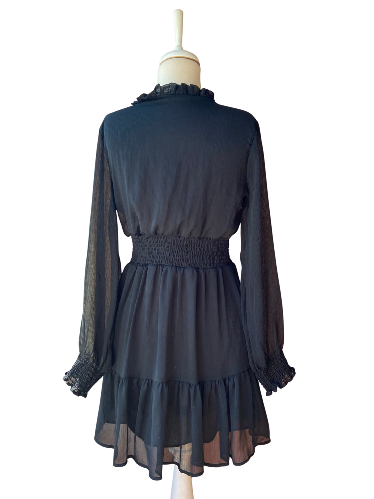 Black Sheer Mini Dress