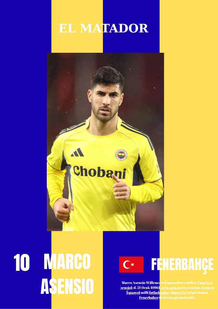 FENERBAHÇE POSTERLERİ BUNDLE