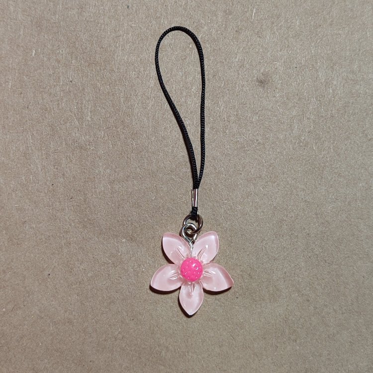 sakura charm