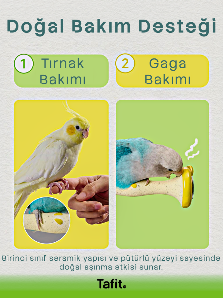 TAFIT | Apple Premium Seramik Bakım Tüneği
