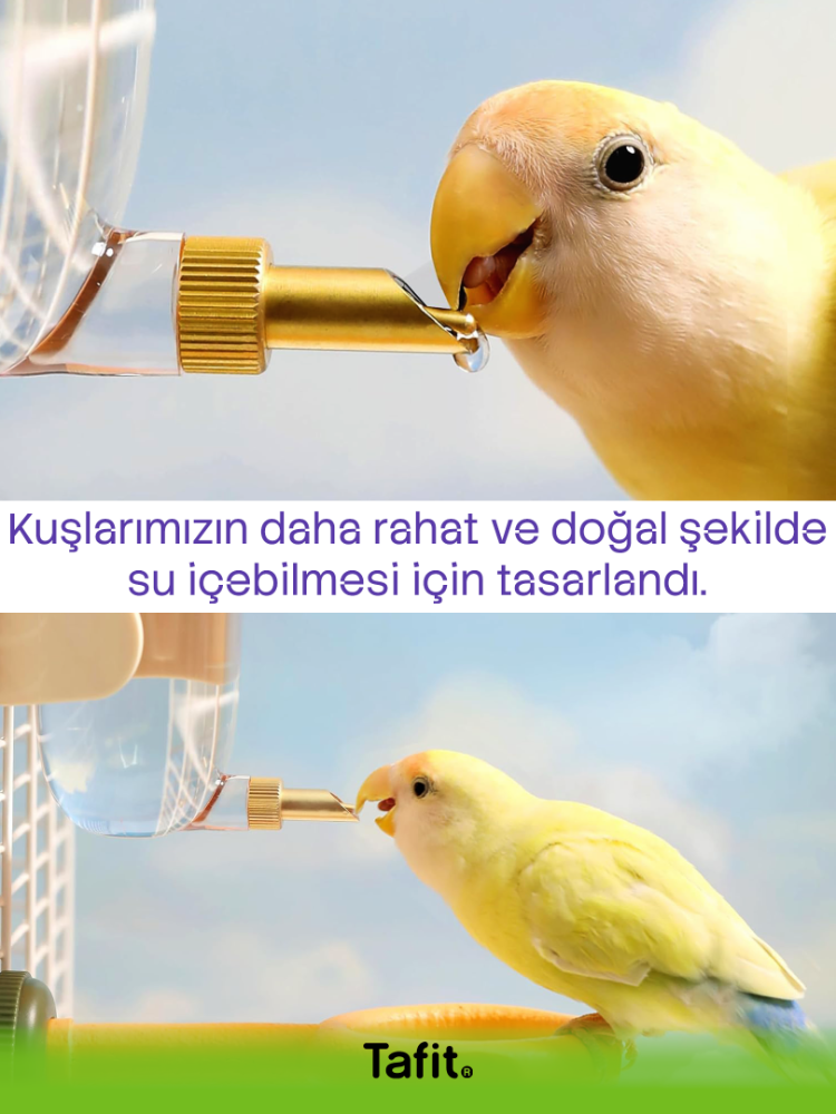 TAFIT | Ergonomik Su Ünitesi