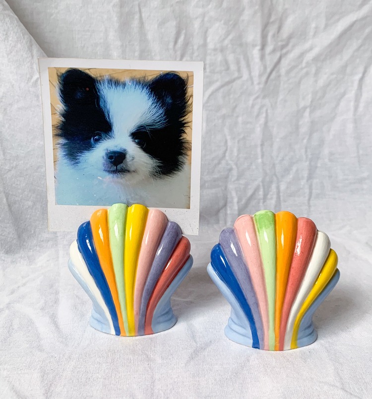 Sea Shell Photo Holder
