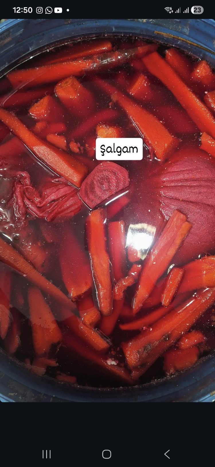 ADANA ŞALGAM 