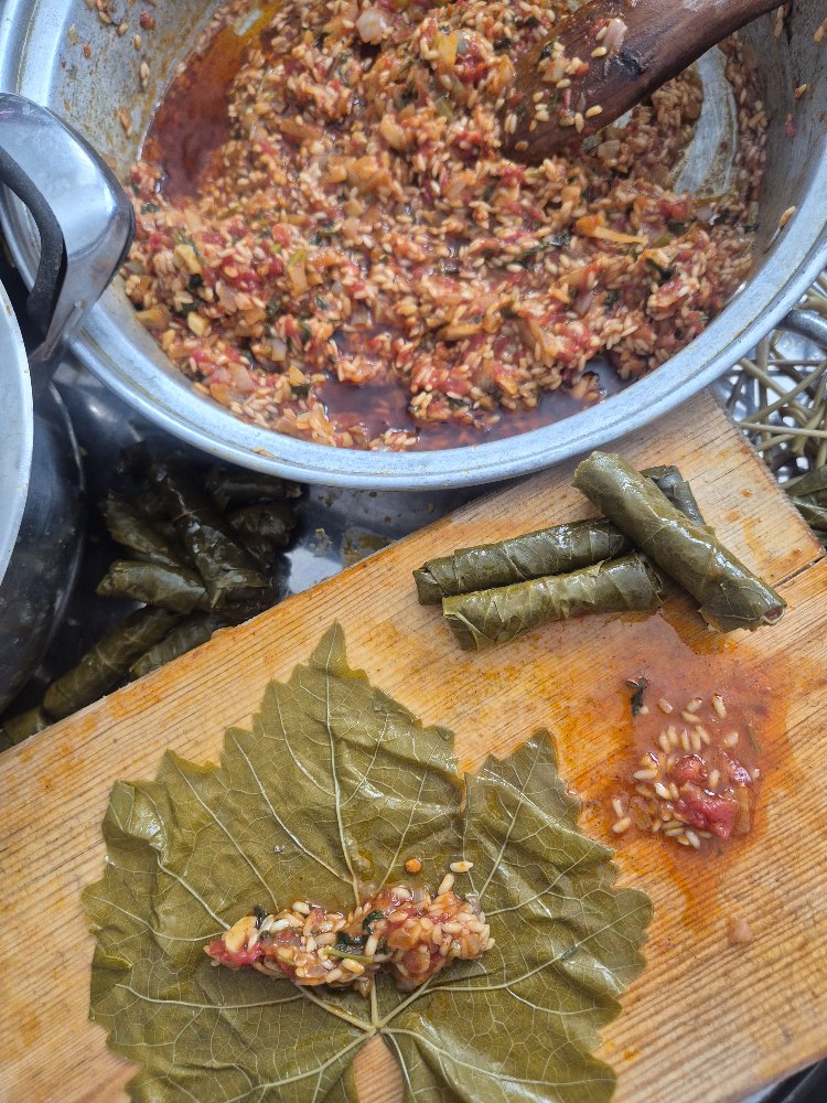 YAPRAK SARMASI