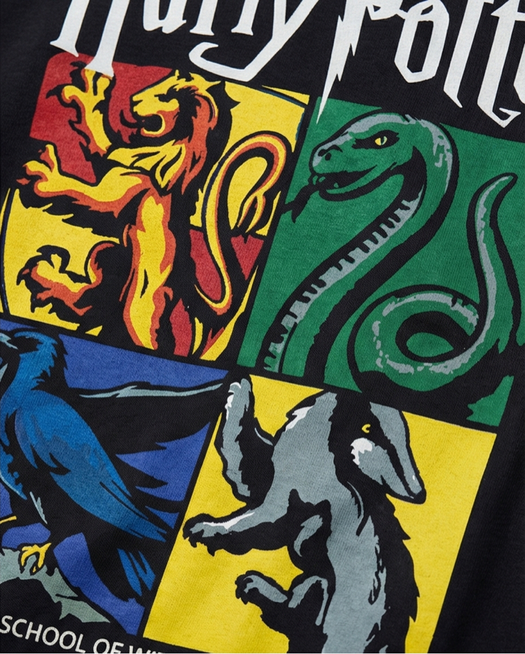 Harry Potter DA-2 Oversize Unisex T-Shirt