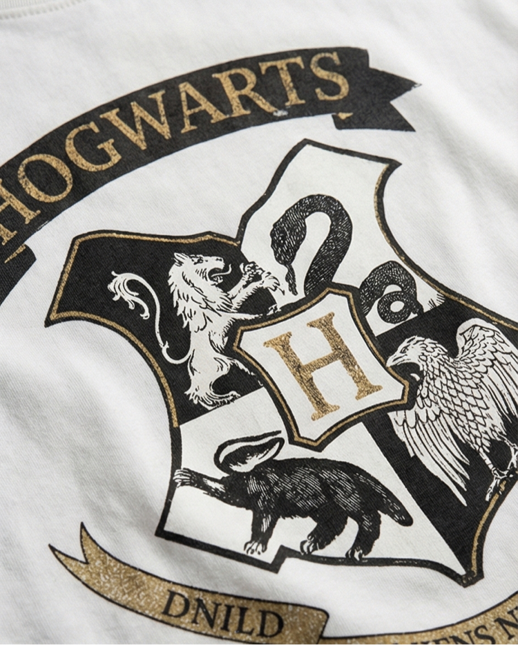 Harry Potter DA-1 Oversize Unisex T-Shirt