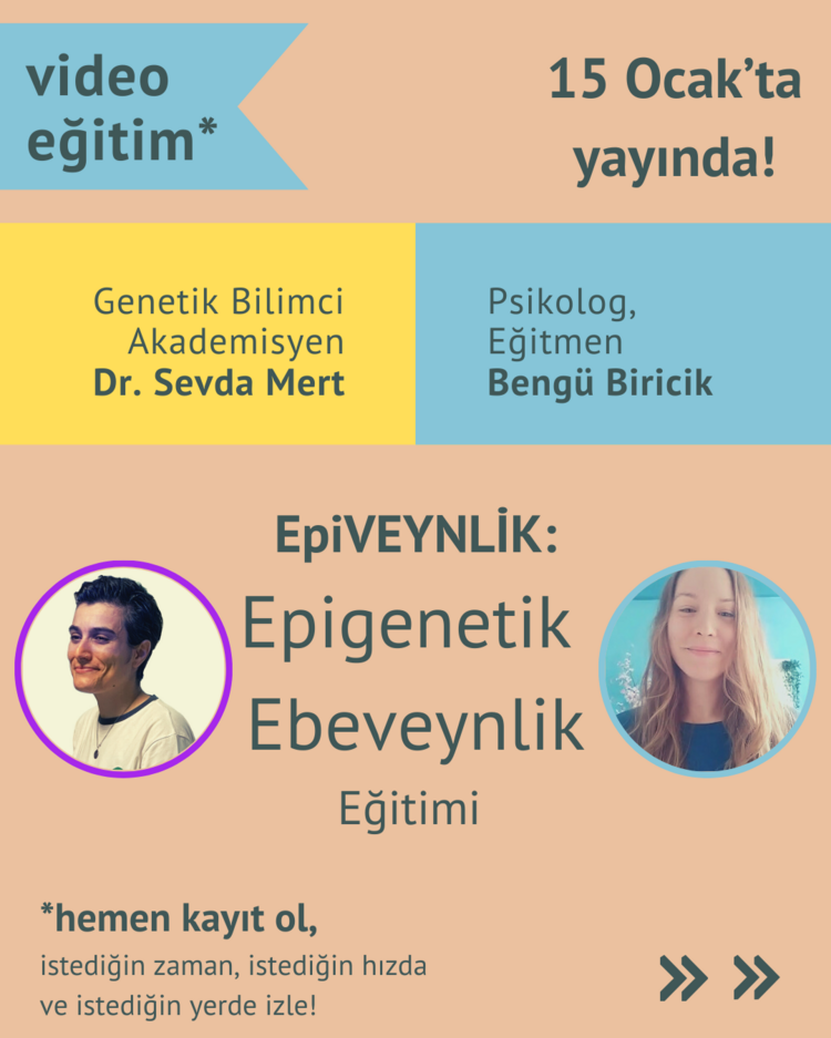 EpiVeynlik: Epigenetik Ebeveynlik - online video eğitim