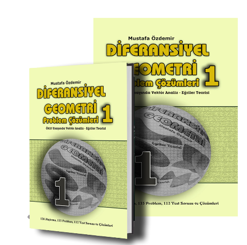 (RENKLİ BASKI) DİFERANSİYEL GEOMETRİ PROBLEM ÇÖZÜMÜ 1 (208 SAYFA)