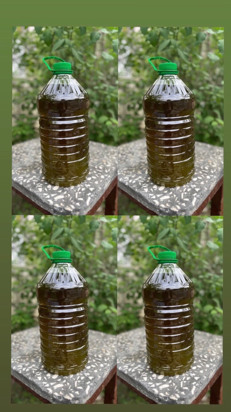 20 litre zeytinyağı