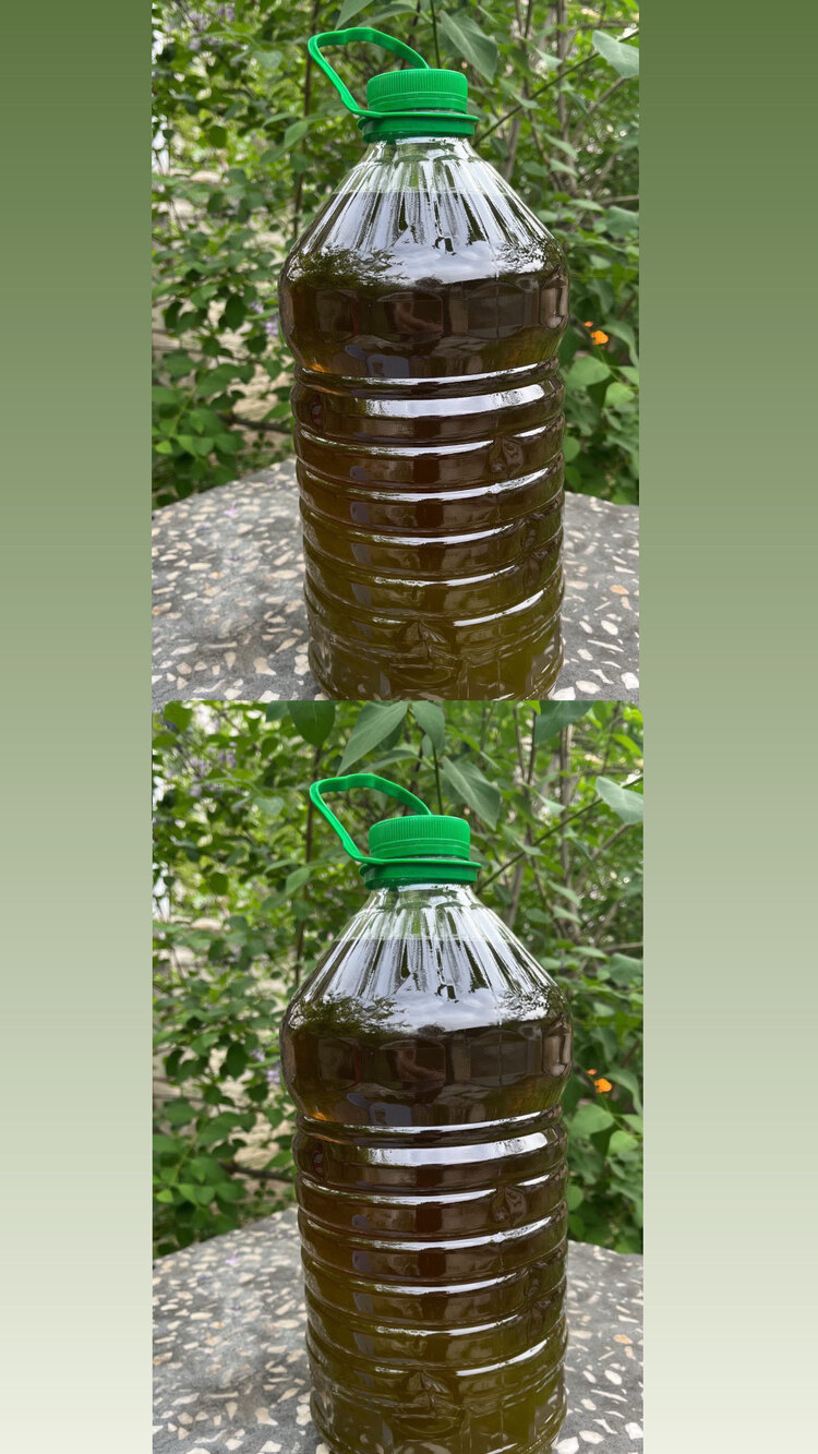 10 litre zeytinyağı