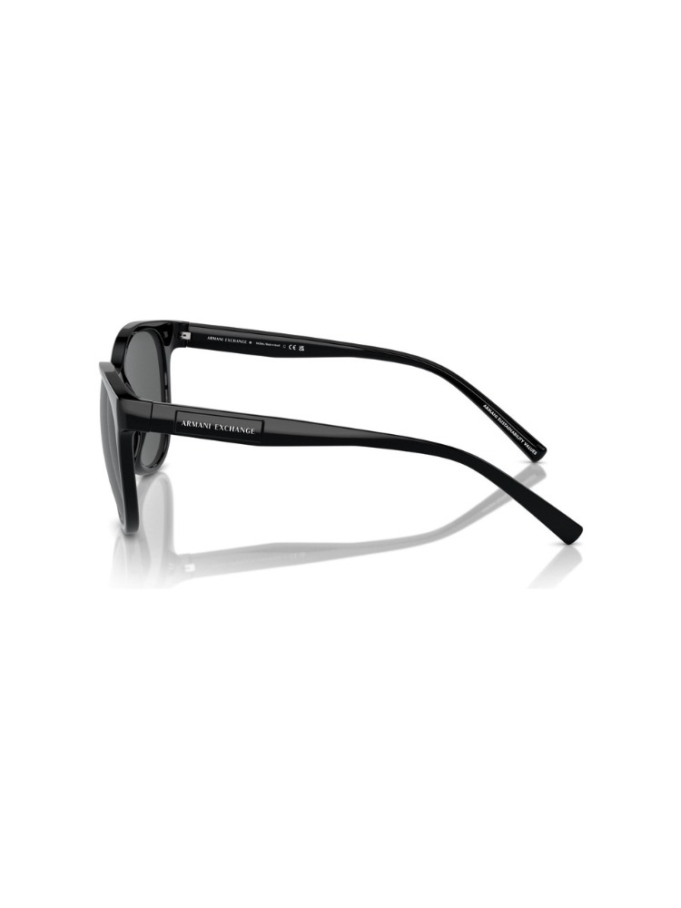 ARMANI EXCHANGE 4144SU 815887 Kadın Güneş Gözlüğü