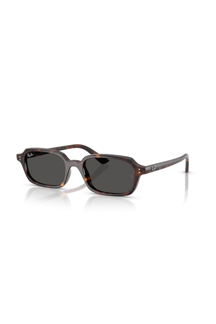 RAYBAN 4455 135987 Unısex Güneş Gözlüğü