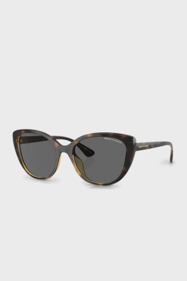 ARMANI EXCHANGE 4111SU 821387 Kadın Güneş Gözlüğü