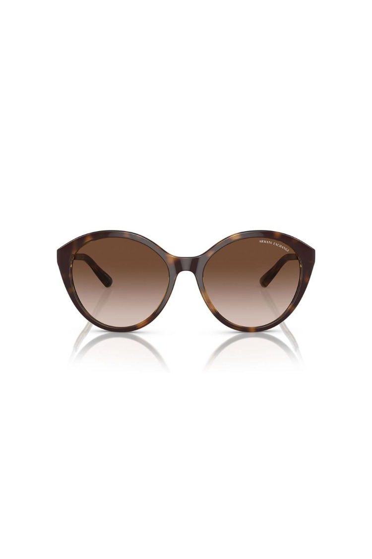 ARMANI EXCHANGE 4134S 821313 Kadın Güneş Gözlüğü