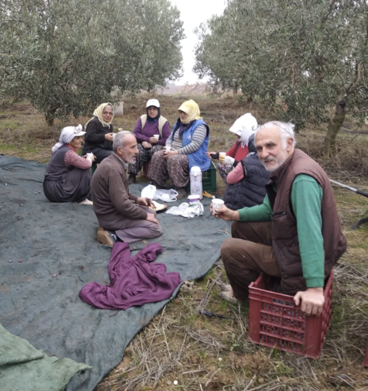 Kalamata Kuru Sele 4 KG