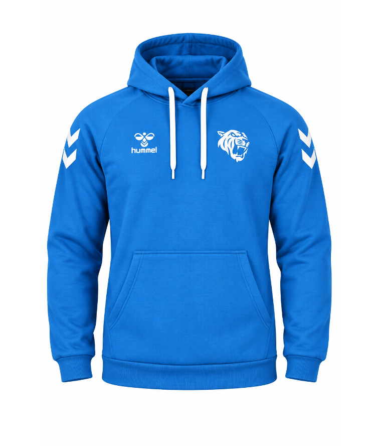 Dark Passage x Hummel Armin Pamuklu Hoodie Saks Mavi