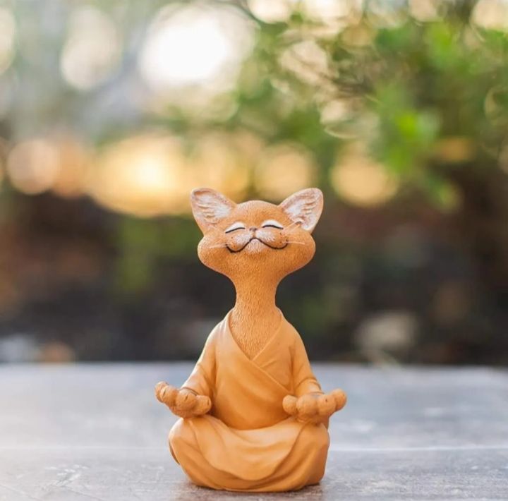 Yoga Yapan Kedi – Sizin ve Kediniz İçin Huzurlu Bir Dokunuş