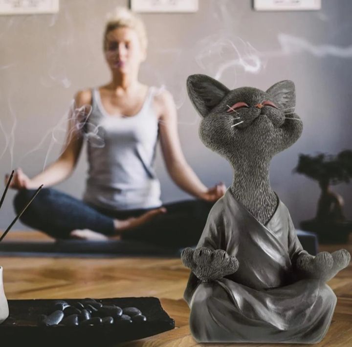 Yoga Yapan Kedi – Sizin ve Kediniz İçin Huzurlu Bir Dokunuş