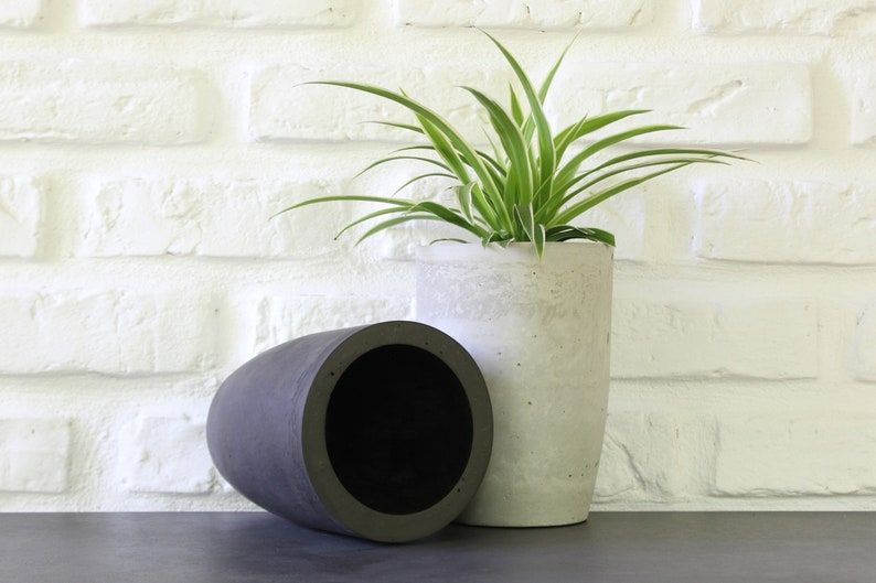Nordic Bonsai Saksı | Minimalist ve Zamansız Tasarım