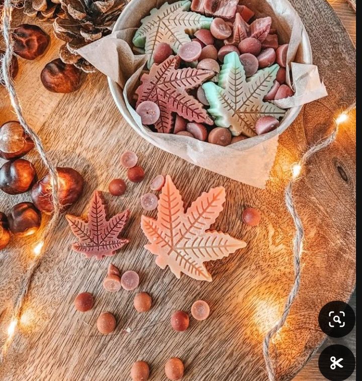 Yaprak 2 Model 11' Li Set 70 Gram Lüks El Yapımı Soya Wax Melts Buhurdanlık Mumu