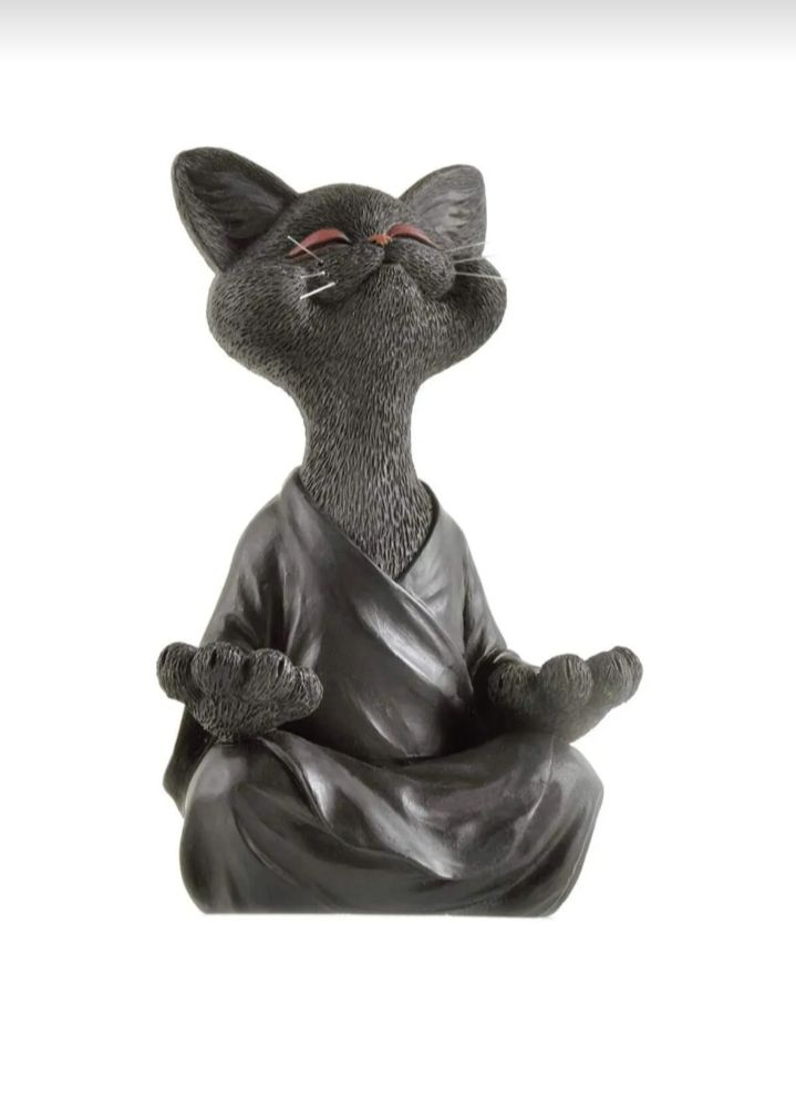 Yoga Yapan Kedi – Sizin ve Kediniz İçin Huzurlu Bir Dokunuş