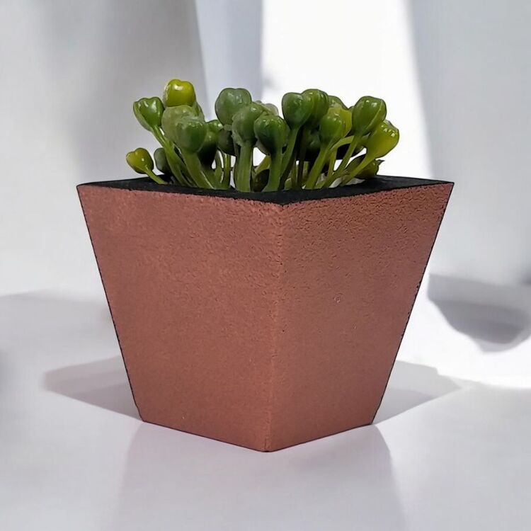 Tricolor Beton Sukulent Saksısı | Minimalist & Estetik Dekor | El Yapımı & Doğa Dostu