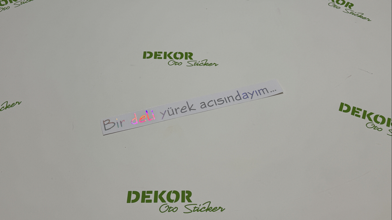 Bir deli yürek acısındayım… (3x32cm)