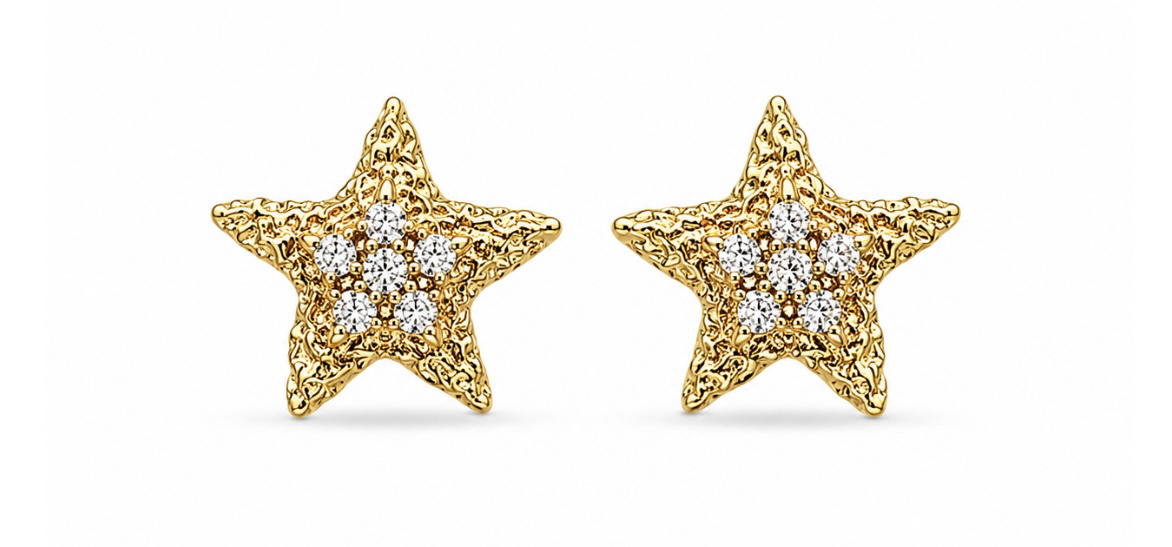İthal Shine Küpe