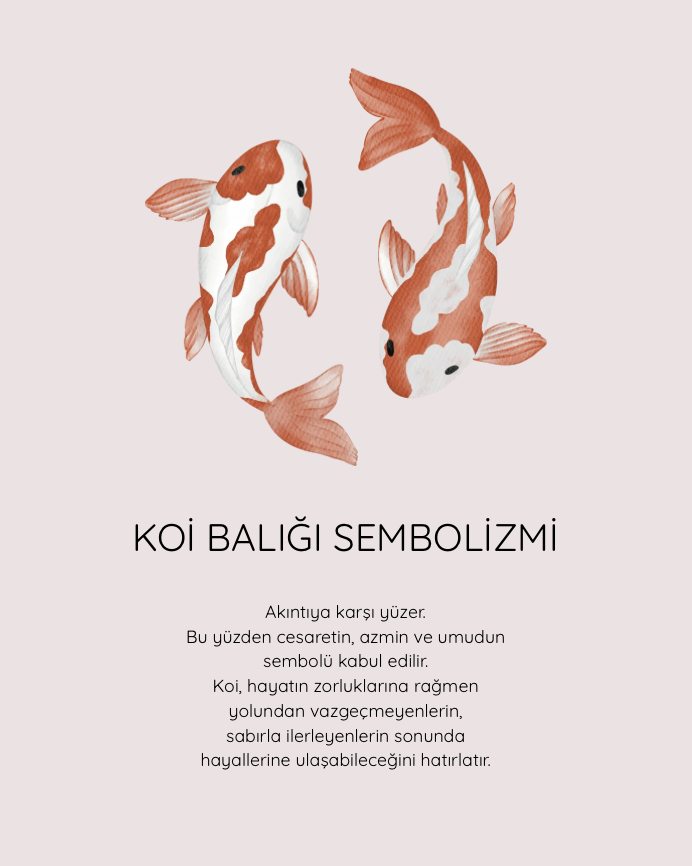 Akıntıya Karşı – Koi Collection