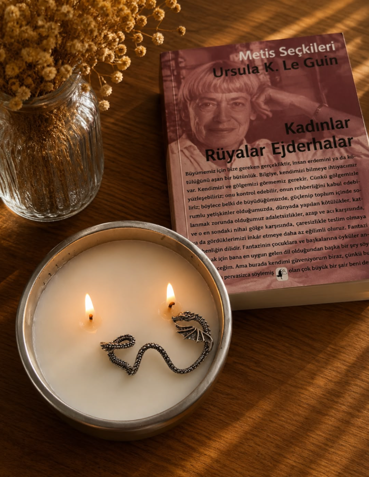 "Ejderhanı nasıl eğitirsin?" mumu (Gümüş renk)