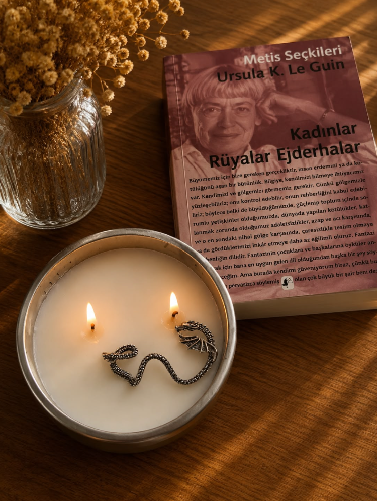 "Ejderhanı nasıl eğitirsin?" mumu (Gümüş renk)