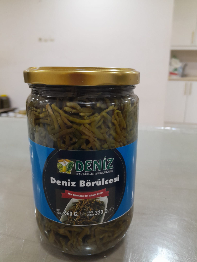 Deniz Börülcesi (660cc)